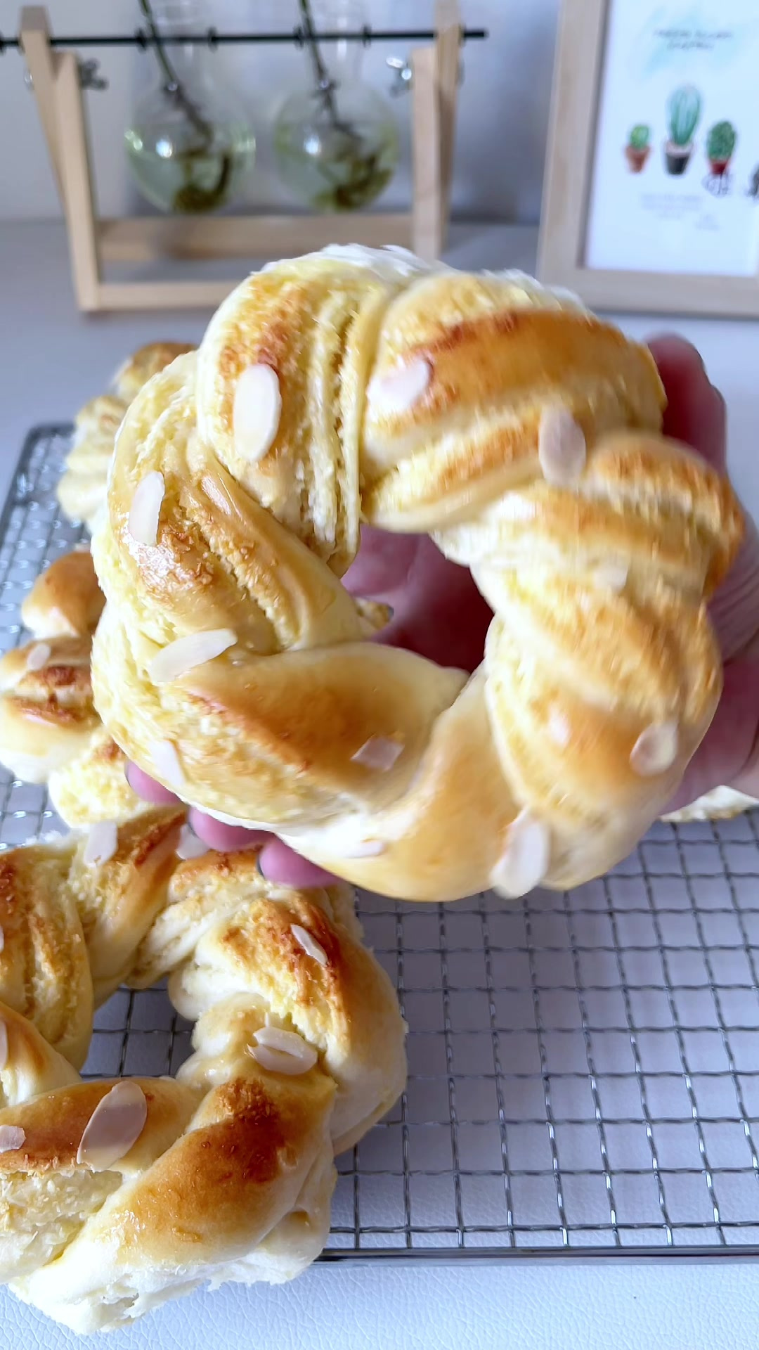 只需要一次醒发就能做出特别好吃的椰蓉面包