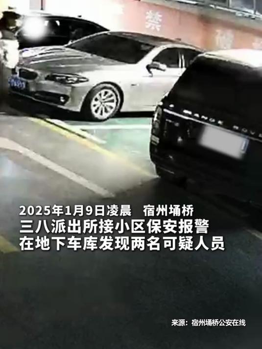 2男子拉豪车车门被抓,作案前竟先下跪:只为祈祷车里有更多现金
