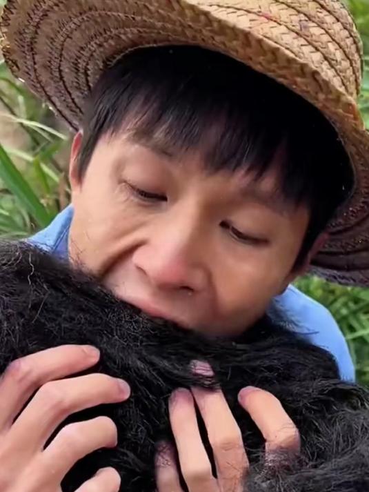 长的像头发的发菜不仅仅营养又好吃！