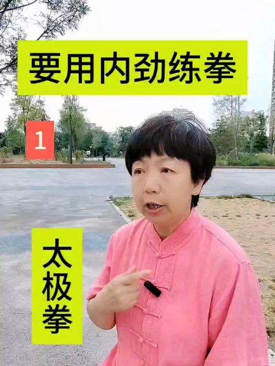 要用内劲练太极拳
