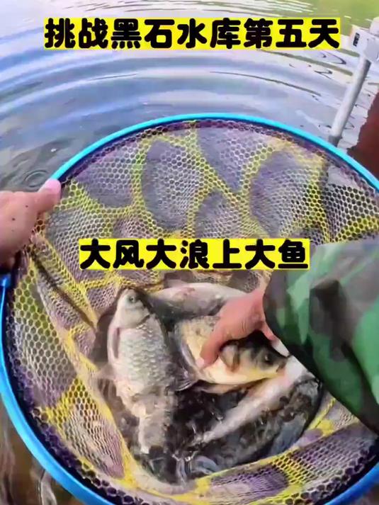 我想问问你们钓过最大的鲫鱼多大#钓鱼#