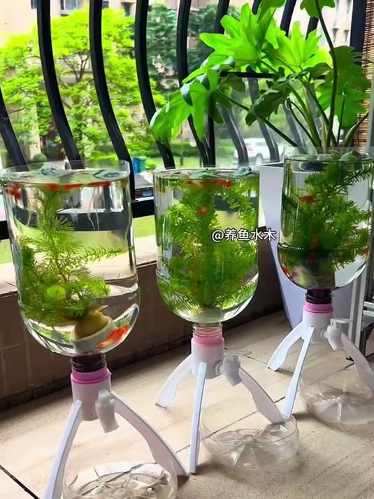 养鱼神器矿泉水养鱼换水三角支架倒置养鱼矿泉水瓶自制鱼缸水循环