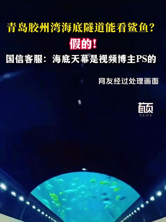 青岛胶州湾海底隧道能看鲨鱼?假的!