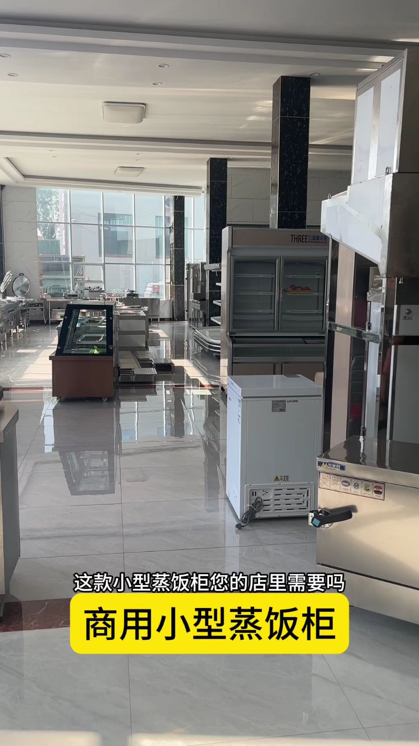 餐饮用小型蒸饭柜