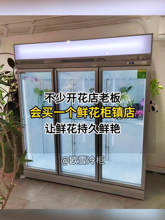 不少开花店老板都会买一个鲜花柜镇店,让鲜花持久鲜艳