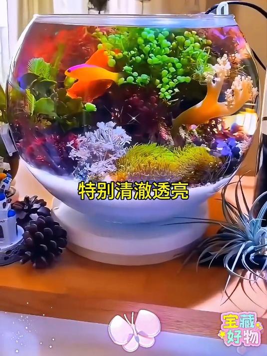 客厅桌面小型桌面生态缸,耐摔防摔,高清透亮,观赏性强增添美观