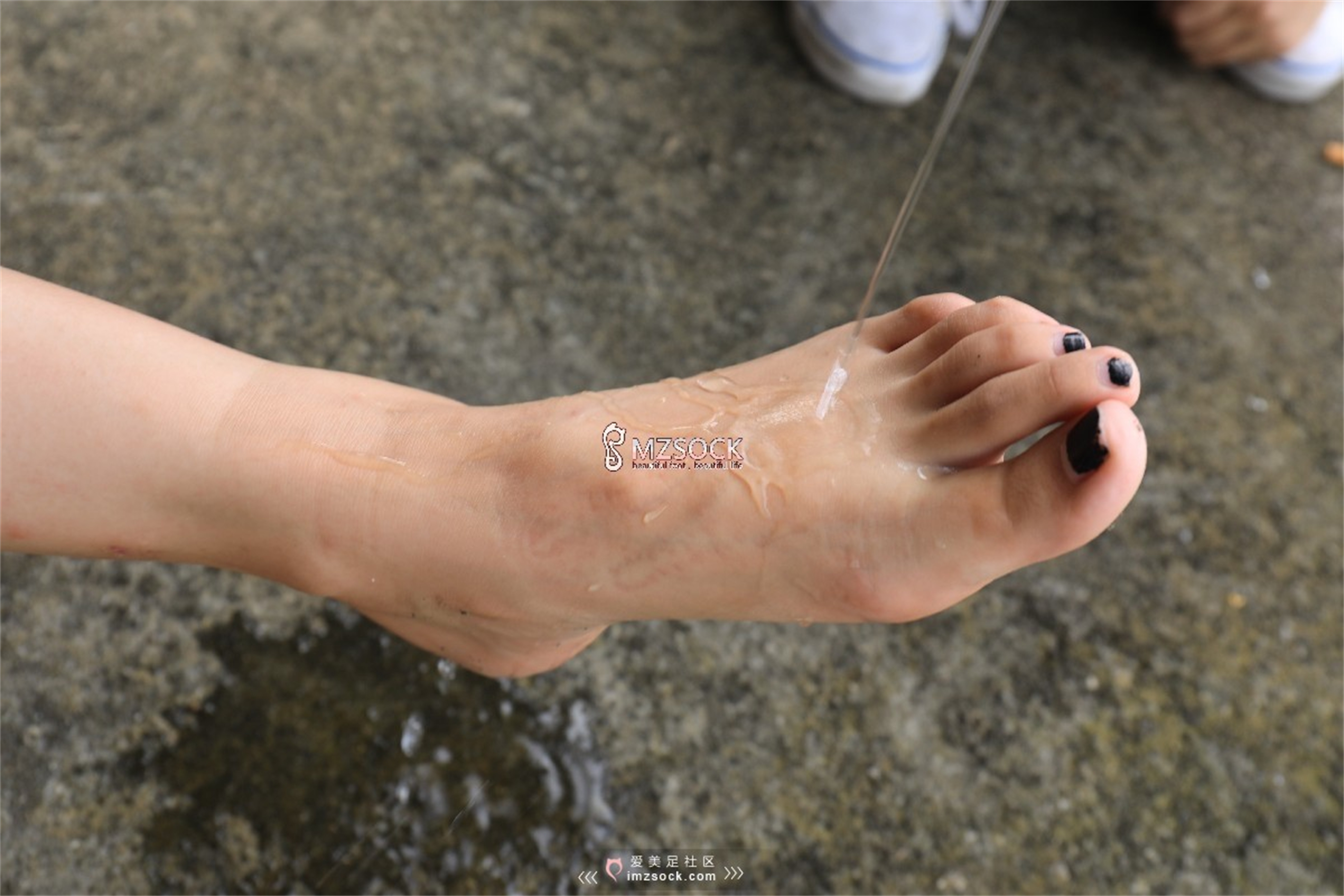 图片[111]-[MZSOCK]爱美足 NO.049 悦悦[122P403M]-六色网