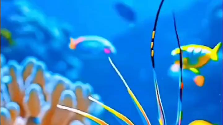 暂 #海洋生物#海底世界 #神奇动物在 #海缸 #海水鱼珊瑚