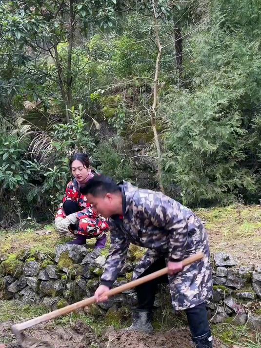 今天把小花园的地面整平了，顺便挖了半个鱼池