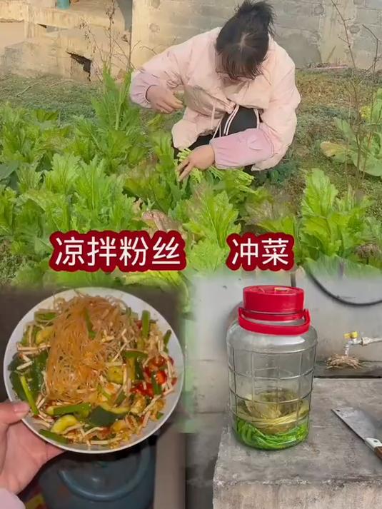 今天做个凉拌粉丝吃