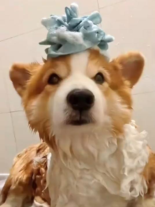 爱喝汤之四霸王花胡萝卜煲猪骨