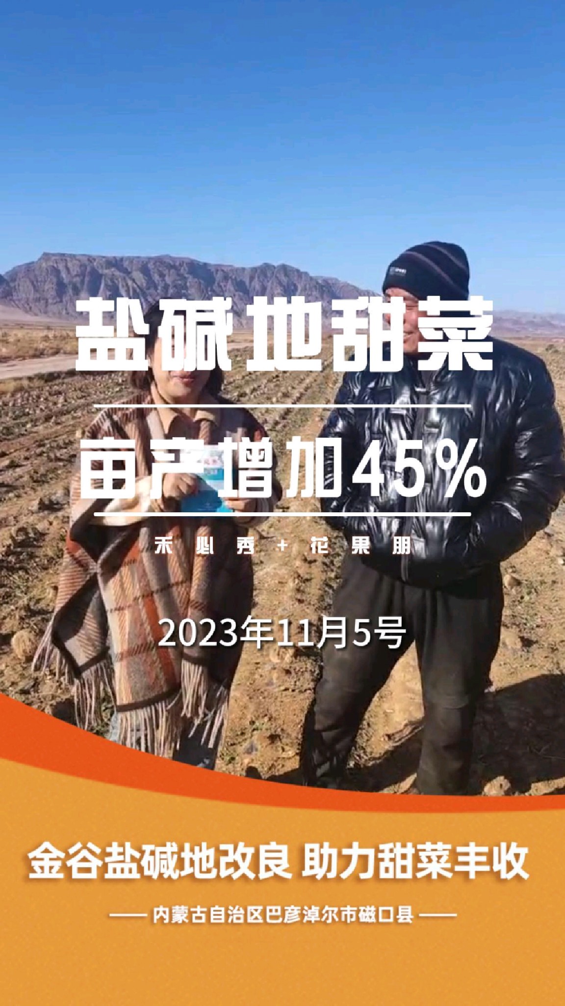 内蒙古杨飞轮的甜菜地,预计原产量为3.5至4吨 使用金谷生物每亩产量增长高达35%至45%