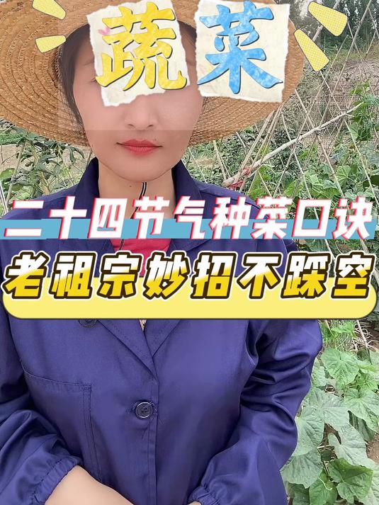 二十四节气种菜口诀,老祖宗妙招不踩空