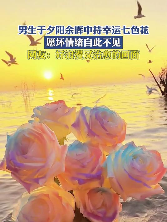 男生于夕阳余晖中持幸运七色花,愿坏情绪自此不见!