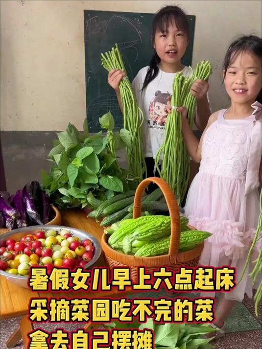 女儿放暑假了,主动要求采摘妈妈种的绿色蔬菜去摆摊卖菜