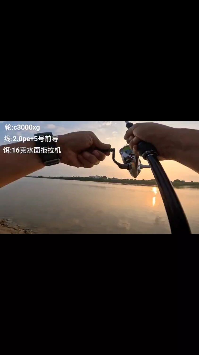路亚就是这么简简单单 30+鳡鱼上岸全过程原来钓鱼才是运动顶流 钓鱼人 鳡鱼 路亚