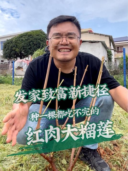 号称当年结果的“红肉榴莲”!希哥试种一下,看看能结出个什么宝贝