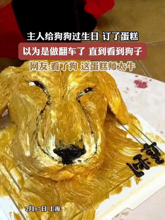 主人给狗狗过生日吗,订了蛋糕,以为翻车了,直到看到了狗子