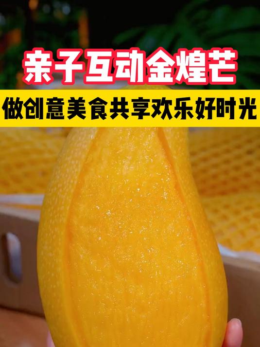 亲子互动金煌芒!做创意美食,共享欢乐好时光