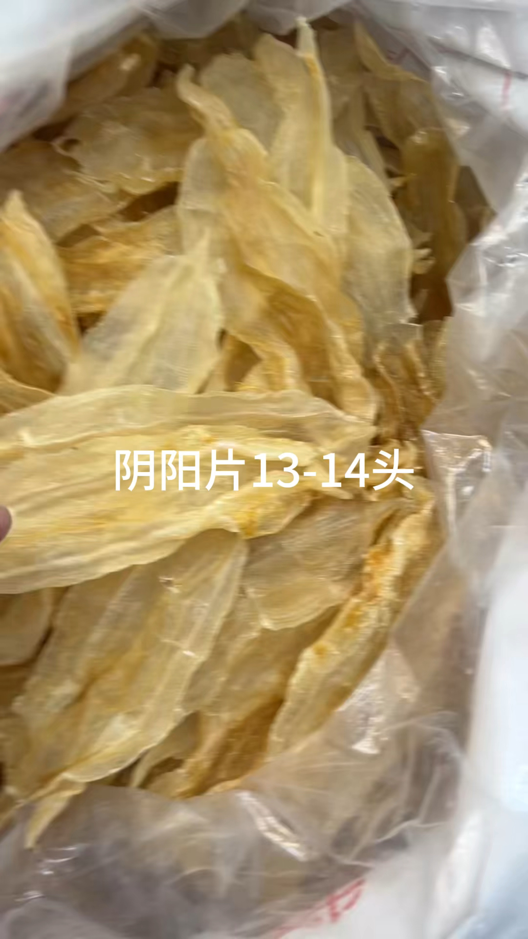佐罗条,阴阳片,花鳘,新西兰鳕鱼胶,土鳘公,白花胶
