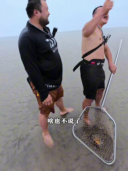 你见过钱塘江1200一斤的鳗鱼吗今天大丰收了
