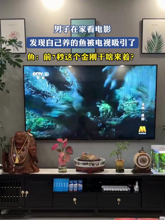 男子发现自己养的鱼被电视吸引了，鱼：前7秒这个金刚干啥来着？