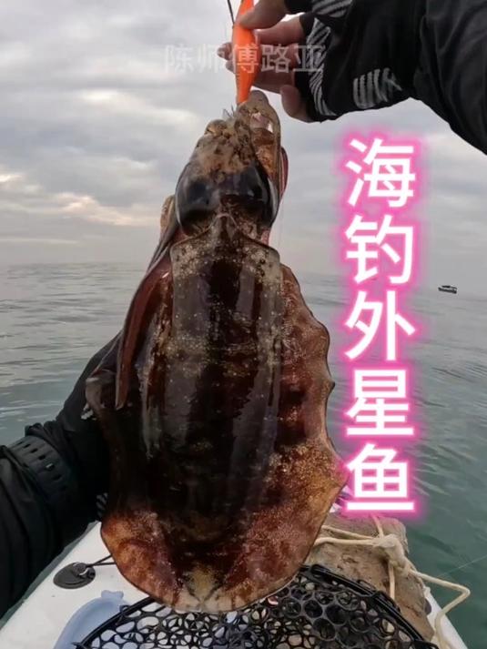 海钓外星鱼