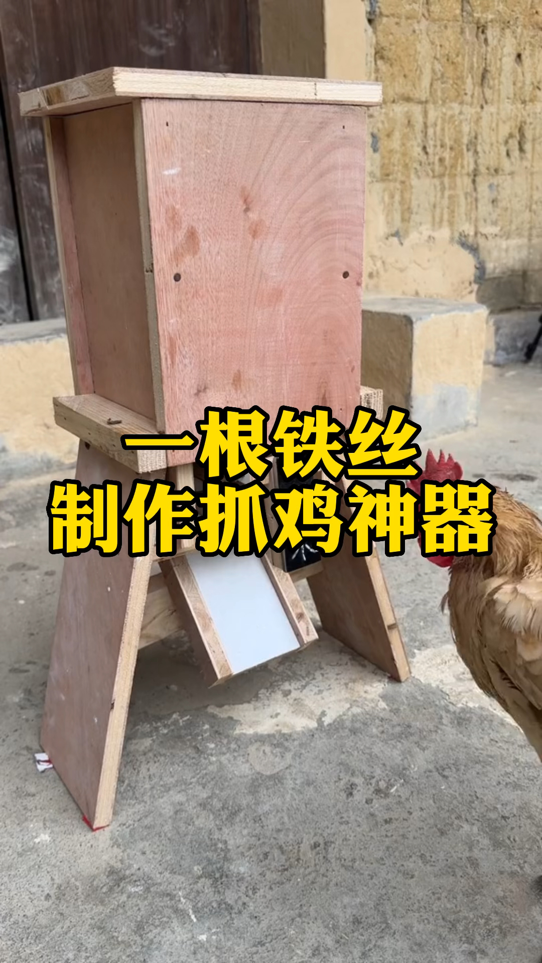 一根铁丝教大家做一个抓鸡神器,养鸡人收藏