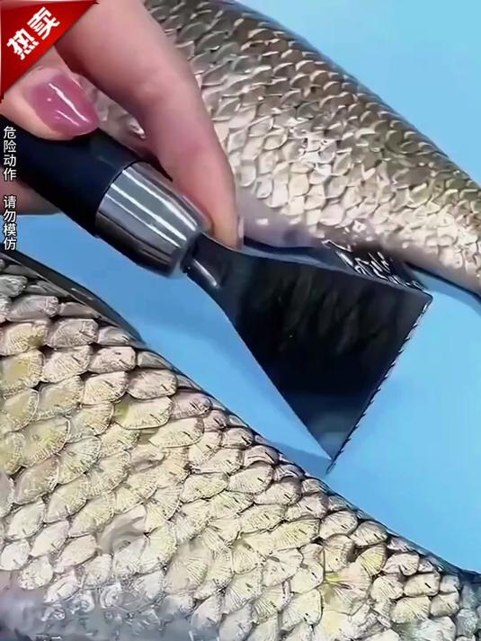 不锈钢鱼鳞刀既能开鱼肚又能刮鱼鳞,方便又实用