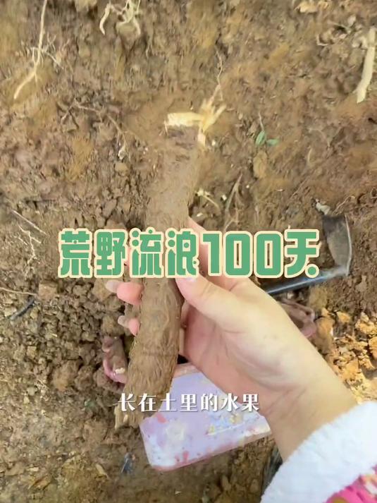 在别墅开辟了菜园子