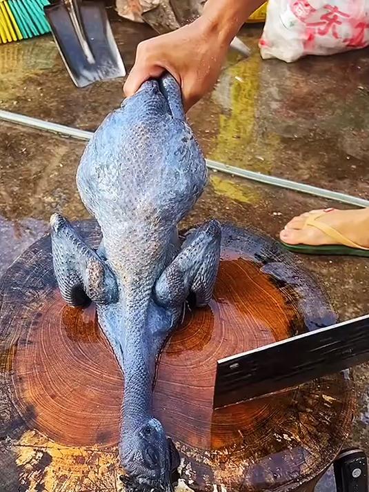 剁鸡块手法与技巧