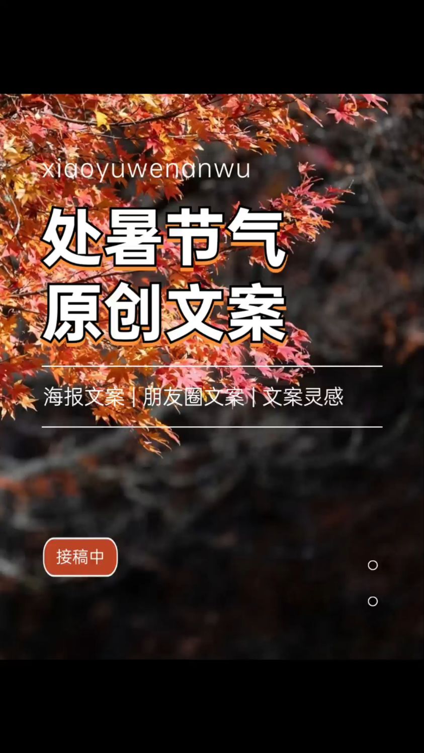 处暑朋友圈文案,静谧唯美,清爽治愈