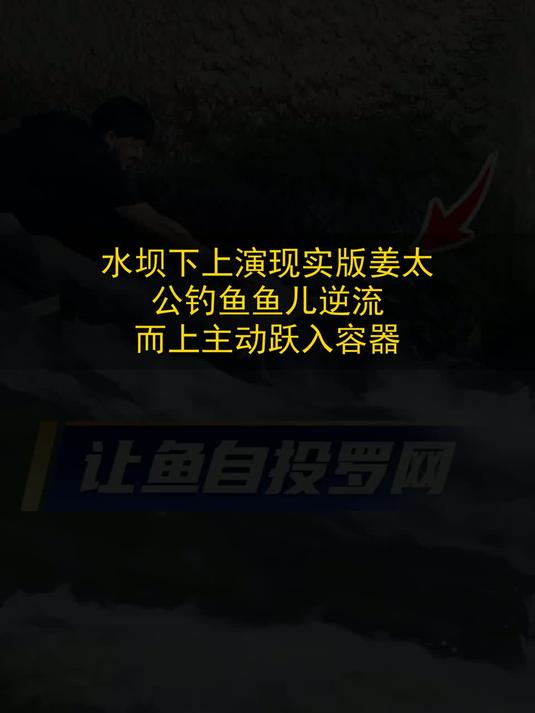 水坝下上演现实版姜太公钓鱼，鱼儿逆流而上主动跃入容器