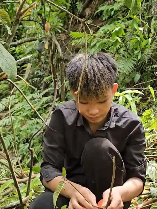 男孩自己上山收大红花,还有黑色的果子
