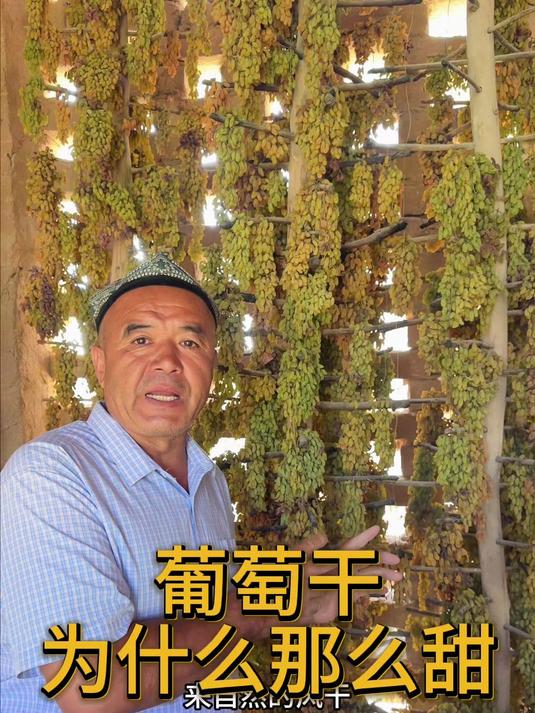 葡萄干为什么这么甜