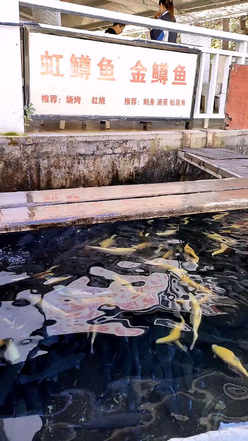 箭扣长城脚下的怀柔虹鳟鱼养殖基地,美味与美景并存