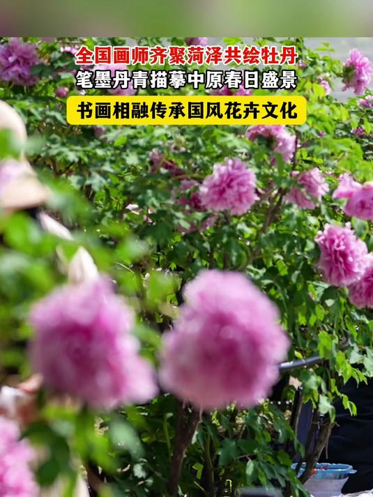 国色丹青邂逅花城,全国画家齐聚菏泽,挥毫落笔绘牡丹盛景#画家齐聚花城##菏泽画展人挤人#