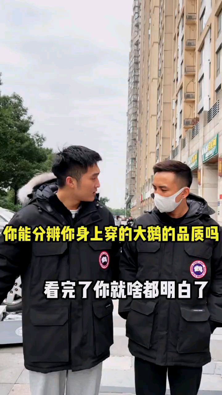 你的加拿大大鹅买对了吗