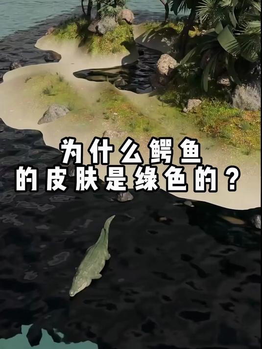 为什么鳄鱼的皮肤是绿色的