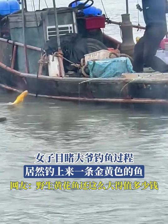 女子目睹大爷钓鱼过程,居然钓上来一条金黄色的鱼