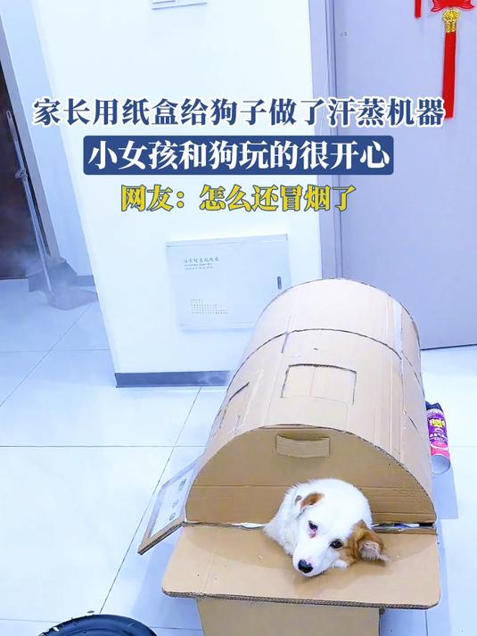 家长用纸盒给狗子做了汗蒸机器,网友:怎么还冒烟了