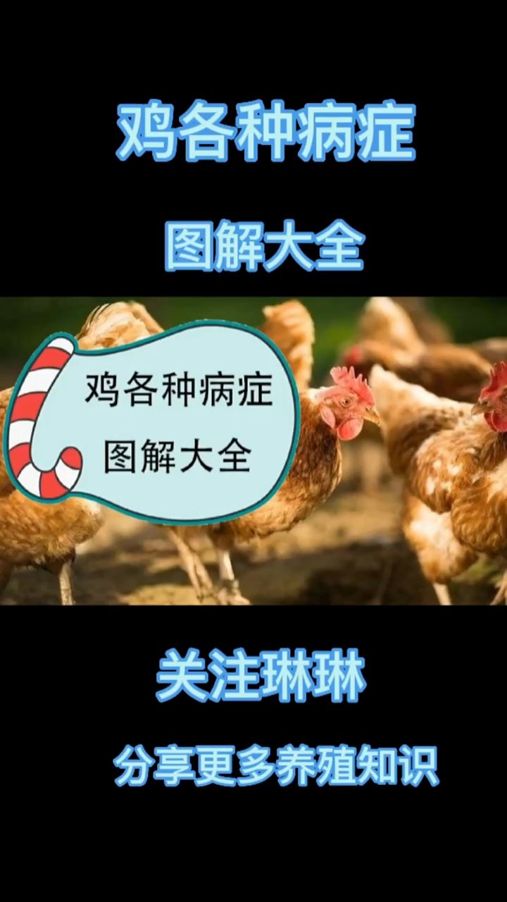鸡各种病症图解大全