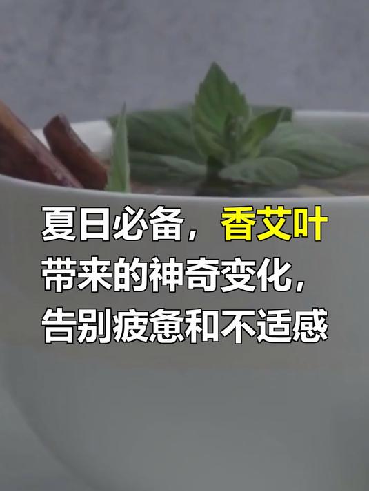香艾叶的功效与作用