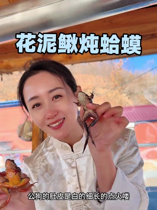 花泥鳅炖蛤蟆 东北第一鲜，蛤蟆塞海鲜，这道东北硬菜泥鳅炖蛤蟆你们吃过吗？