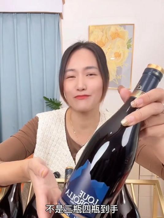 法国进口干红葡萄酒!入口顺滑!