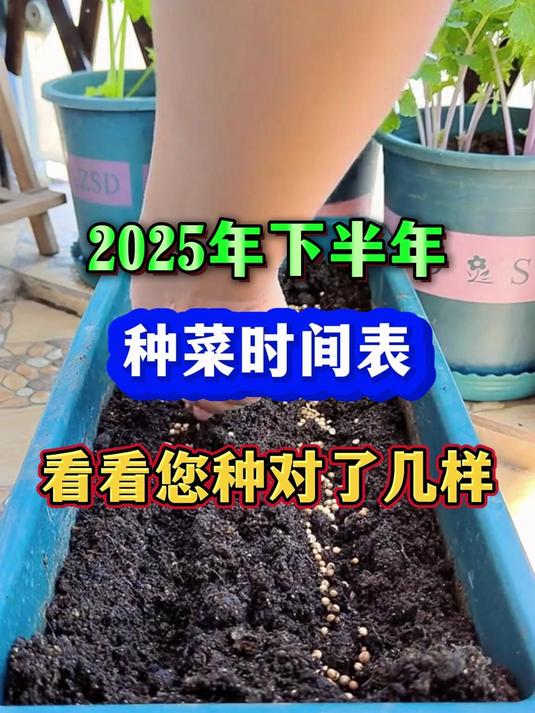2025年下半年种菜时间表看您种对了那几种蔬菜