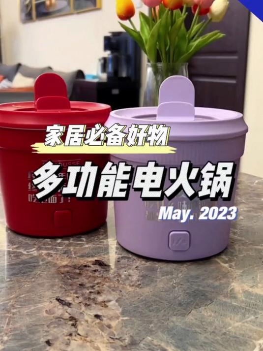 老板含泪清仓!德国多功能电煮锅,煎炸煮涮样样精通!