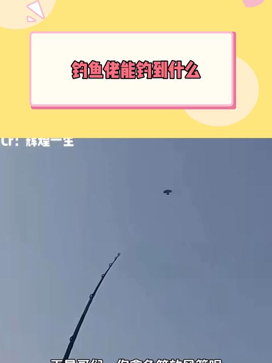 钓鱼佬能钓到什么
