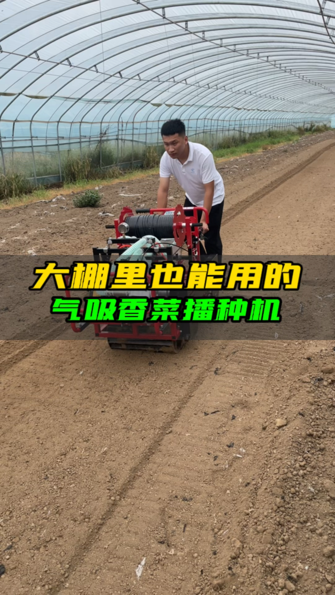 大棚里也能用的气吸香菜播种机
