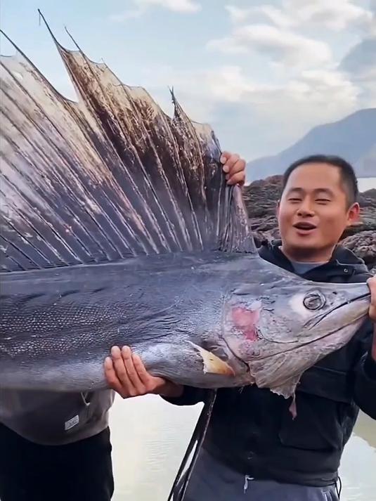 今天用个旗鱼来盘个巨坑看看有什么巨货！